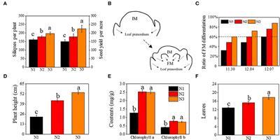 Auxin-regulated timing of transition from vegetative to reproductive growth in rapeseed (Brassica napus L.) under different nitrogen application rates